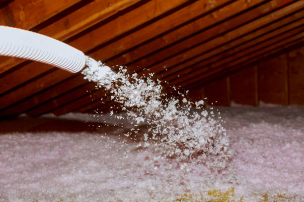 Best Blown-in Insulation  in Channahon, IL