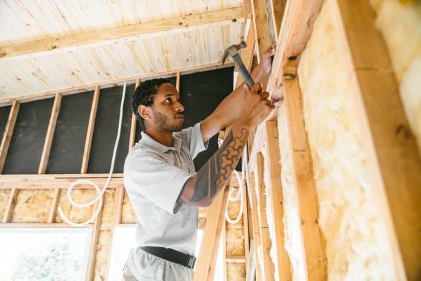 Best Insulation Repair Services  in Channahon, IL